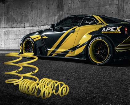 APEX PERFORMANCE
